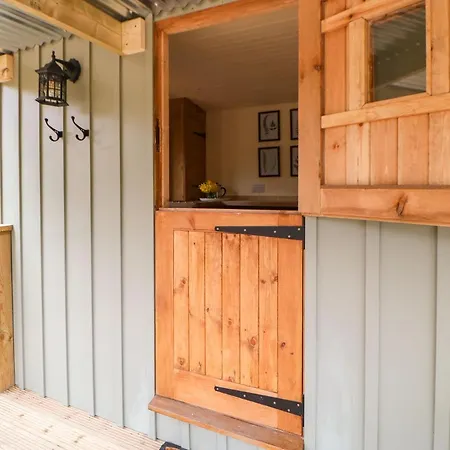 Bracken Fern * Richmond (North Yorkshire)