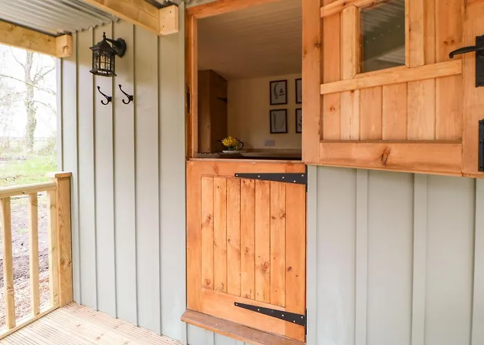 Bracken Fern * Richmond (North Yorkshire)