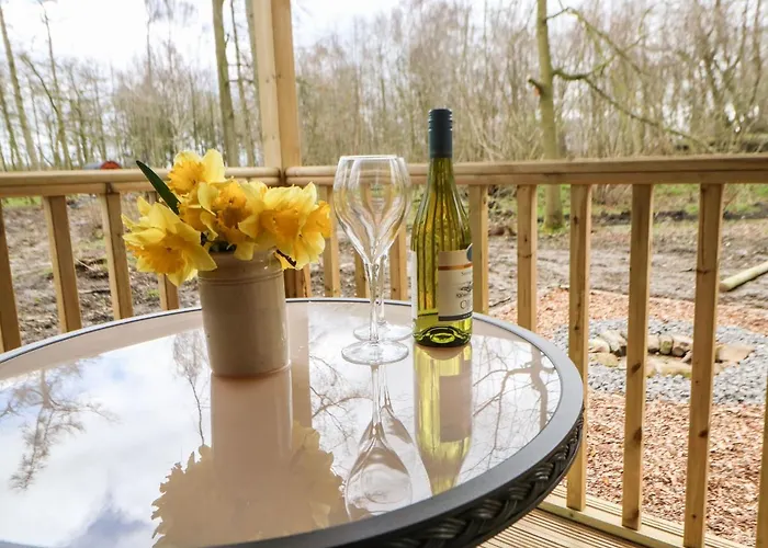 Bracken Fern * Richmond (North Yorkshire)