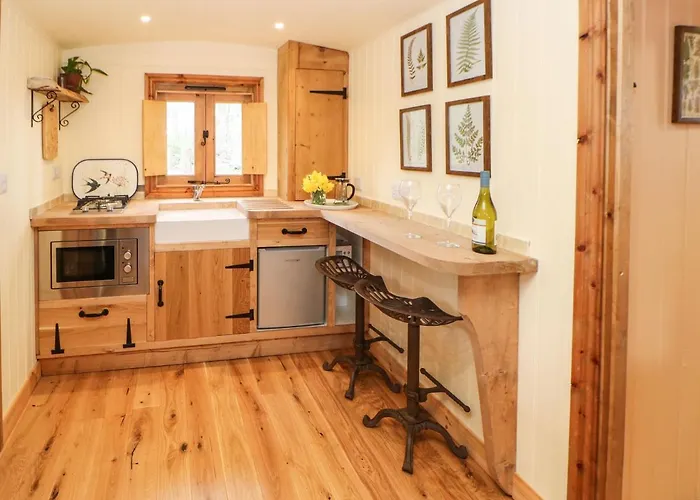 Bracken Fern Richmond (North Yorkshire)