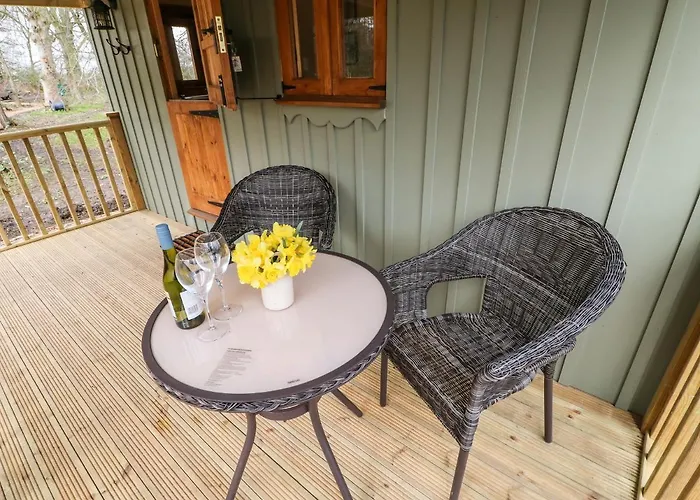 Bracken Fern Richmond (North Yorkshire)