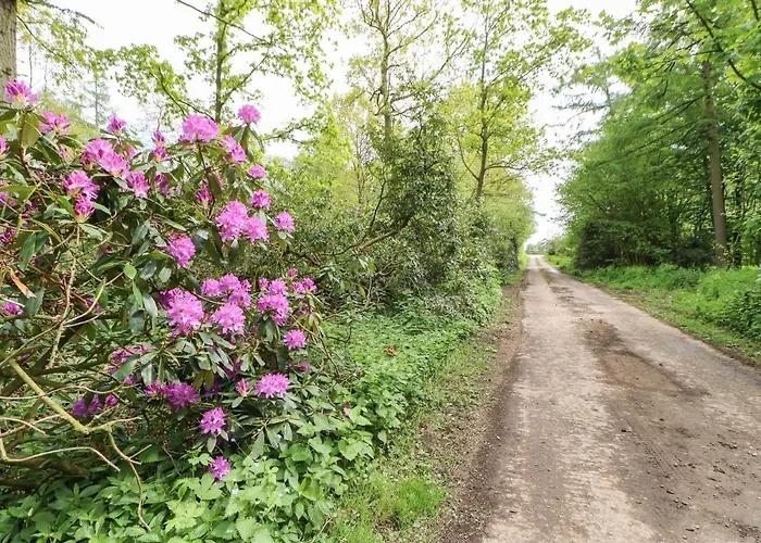 Holiday home Bracken Fern *