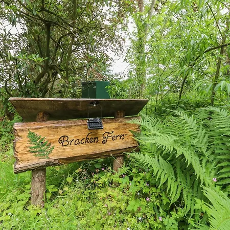 Semesterbostad Bracken Fern *