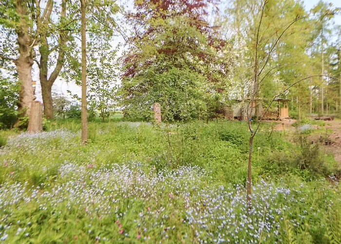 Bracken Fern Holiday home