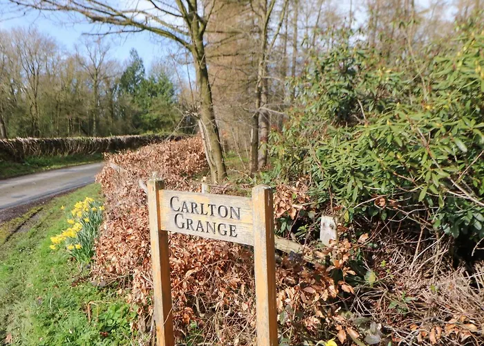 Bracken Fern * Richmond (North Yorkshire)